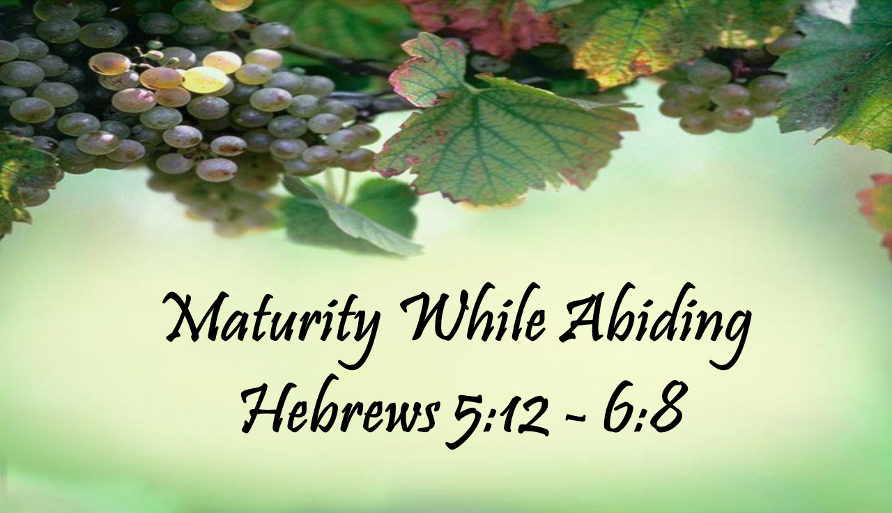 Maturity While Abiding - Hebrews 5:12 - 6:8