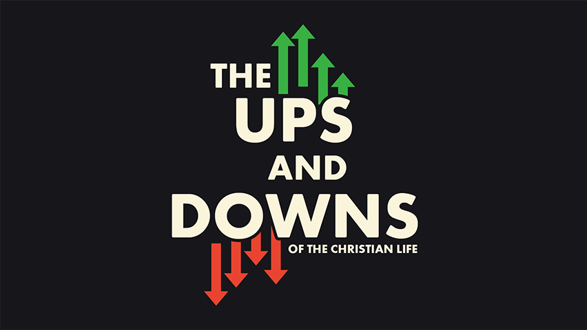 The Satisfaction of Stewardship