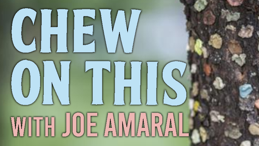 Chew On This - Joe Amaral on LIFE Today Live
