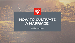 adrian rogers sermon notebook