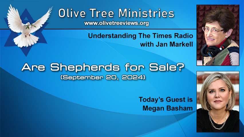 Are Shepherds for Sale? – Megan Basham