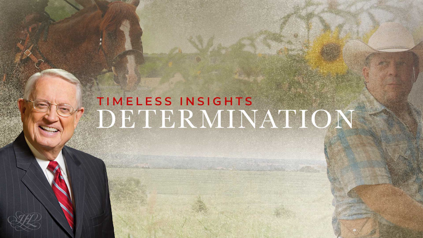 Determination | Timeless Insight