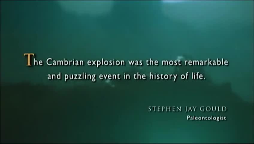 Why did the Cambrian explosion trouble Darwin?