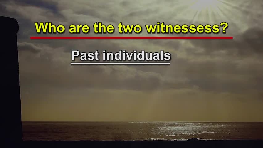 Who are the “two witnesses,” and what is their purpose?