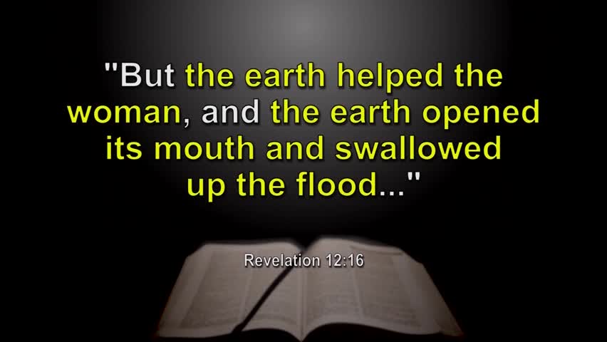 Who is the “Seed of the woman” mentioned in Revelation 12?