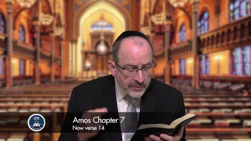 Amos Chapter 7 Part 2