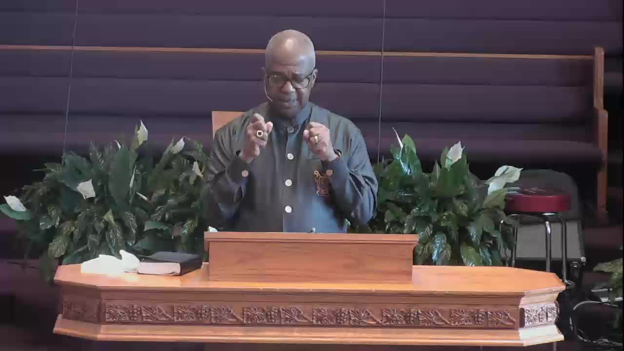 Morning Star Baptist Church with Bishop John M. Borders, III Video Online