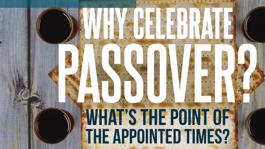 Why celebrate Passover? What's the point of the appointed times?